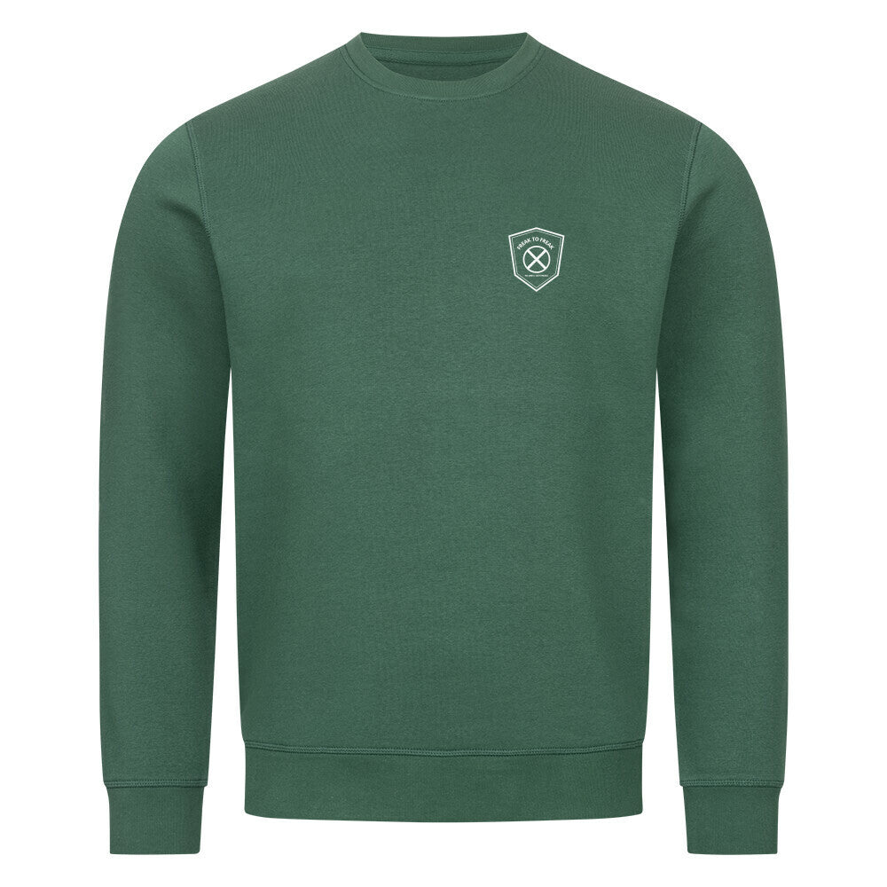 Image for color: varsity green